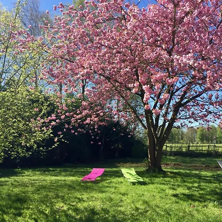 Les Hortensias Rdc Villa